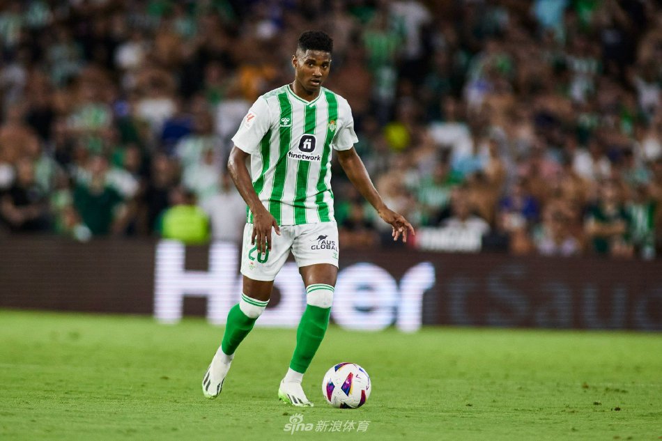 不仅展示了 不仅展示了